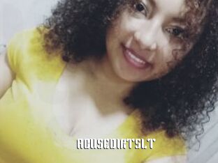 ABUSEDIRTSLT