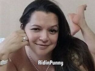 AidinPunny