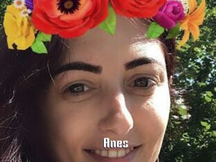 Anes