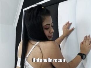 Antonellarosen