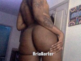 AriaKarter