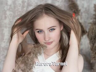 AuroraTurnel