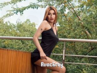 AvacGrey