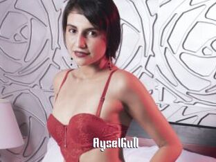 AyselGull
