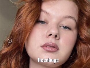 Accabuys
