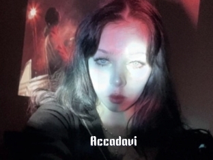 Accadavi