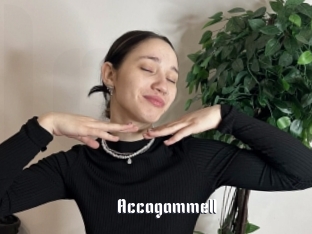 Accagammell