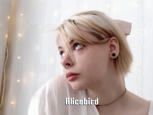 Alicebird