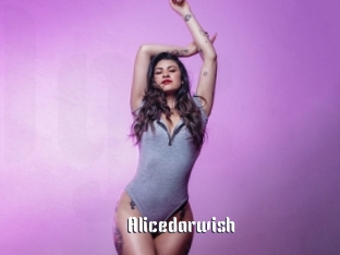 Alicedarwish