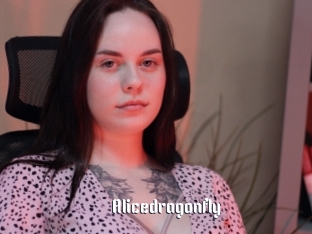 Alicedragonfly
