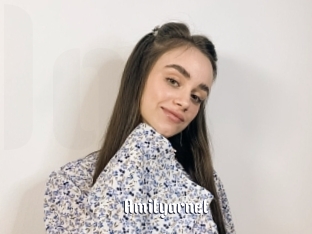 Amityarnet