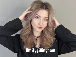 Amitygillingham