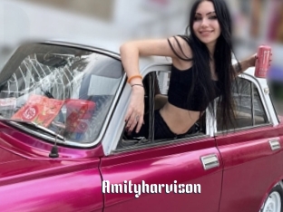 Amityharvison