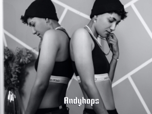 Andyhops