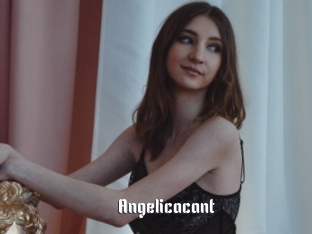 Angelicacant