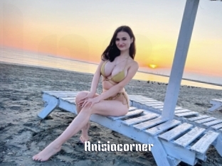 Anisiacorner