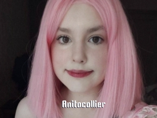 Anitacollier
