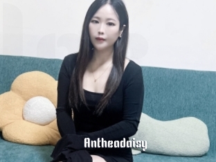 Antheadaisy