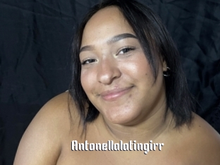 Antonellalatingirr