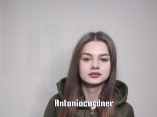 Antoniacordner