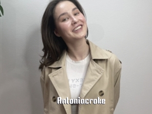 Antoniacroke