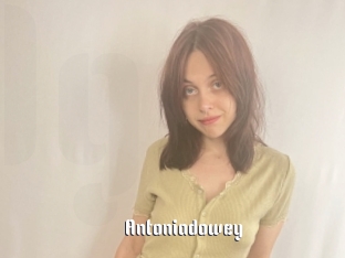 Antoniadowey