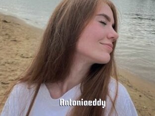 Antoniaeddy