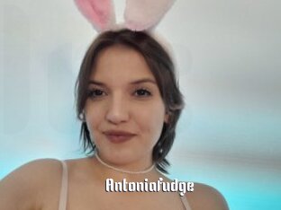 Antoniafudge