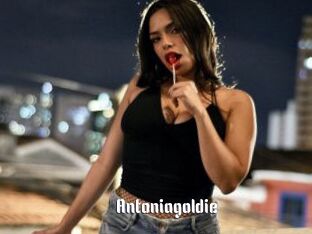 Antoniagoldie