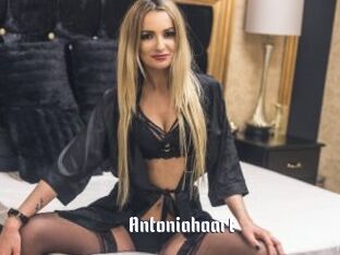 Antoniahaart