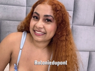 Antoniedupont