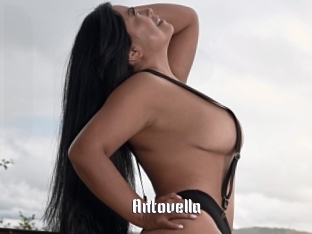 Antovella