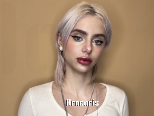 Aracaris