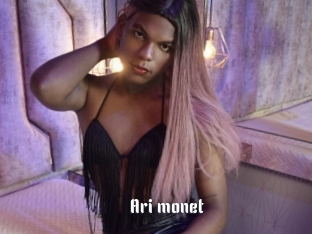 Ari_monet