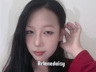 Arlenedaisy