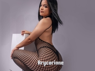 arycorinne 1 grosse chatte