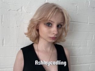 Ashleycodling