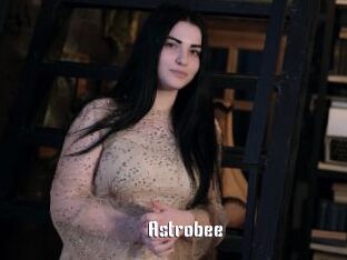 Astrobee