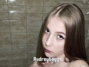 Audreybagge