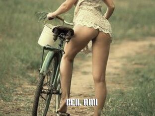 BElL_AMI_