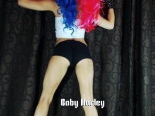 Baby_Harley