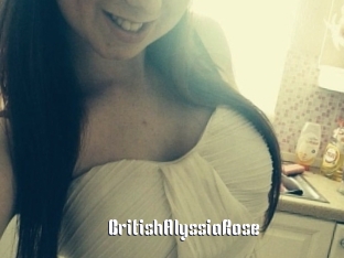 BritishAlyssiaRose