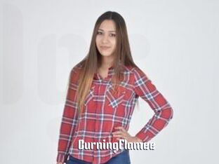 BurningFlamee
