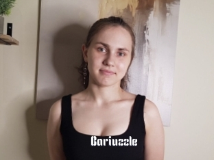 Bariuzzle