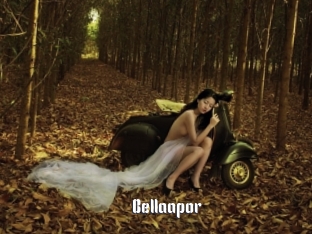 Bellaapor