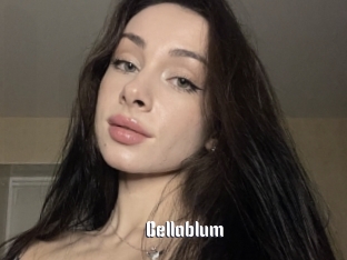 Bellablum