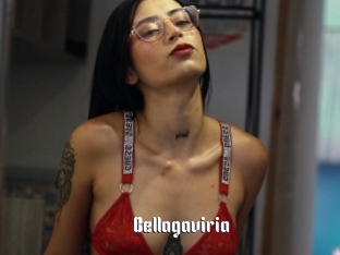 Bellagaviria