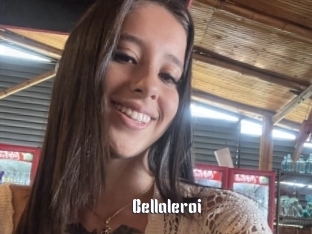 Bellaleroi