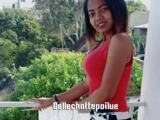 Bellechattepoilue