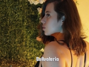 bellvaleria 1 grosse chatte